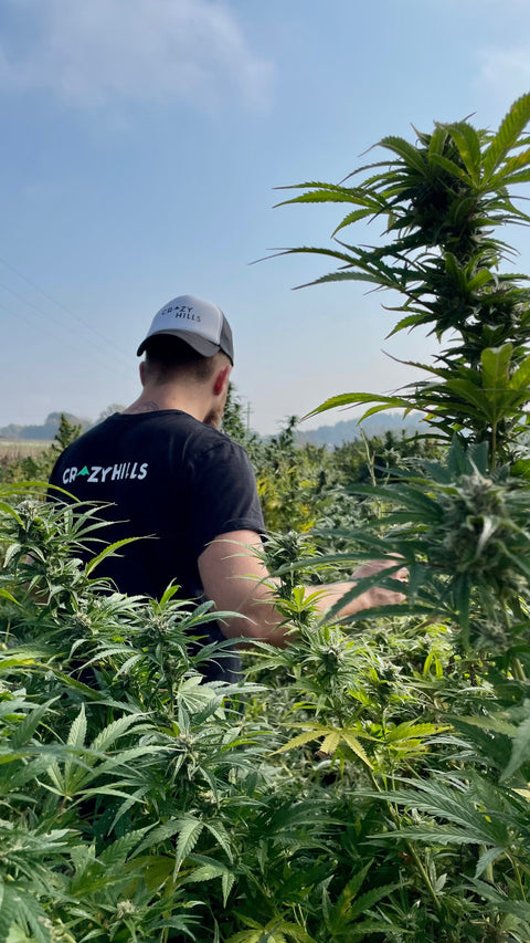 A Legacy from Generations: The Crazy Hills Story