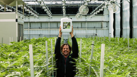 Why Should You Choose Organic Nutrients